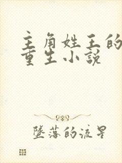 主角姓王的都市重生小说封面