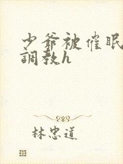 少爷被催眠玩弄调教h