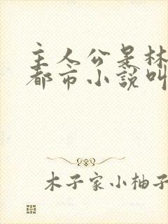 主人公是林峰的都市小说叫什么