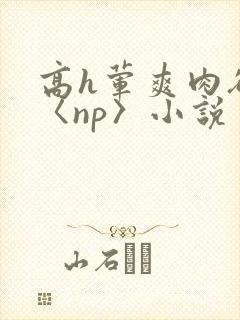 高h荤爽肉欲文〈np〉小说封面