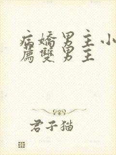 病娇男主小说推荐双男主