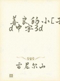 善良的小[子hd中字3d封面