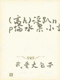 (高h)淫趴np伦水果小说笔趣阁