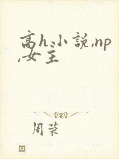 高h小说,np,女主