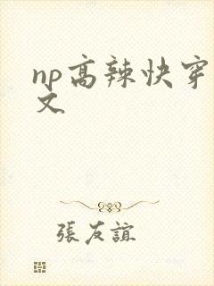 np高辣快穿宠文封面
