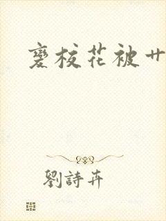 变校花被艹小说