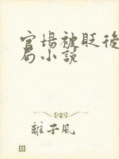 官场被贬后大结局小说封面