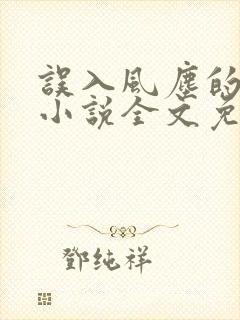 误入风尘的爱情小说全文免费阅读