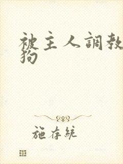 被主人调教成母狗