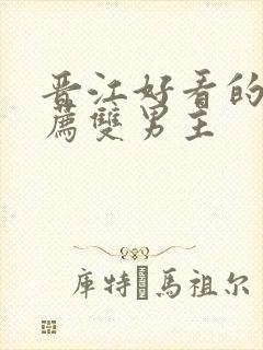 晋江好看的书推荐双男主封面