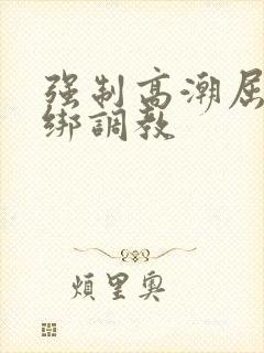 强制高潮屈辱捆绑调教