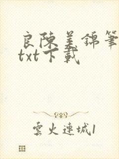 良陈美锦笔趣阁txt下载
