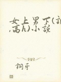 女上男下(调教,高h)小说