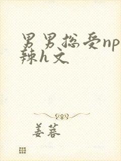 男男总受np高辣h文