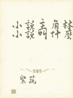 小说主角林云的小说叫什么