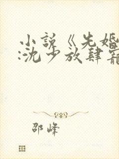 小说《先婚后爱:沈少放肆宠》