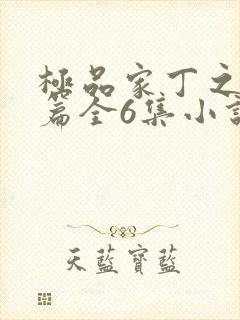 极品家丁之洛凝篇全6集小说