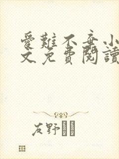 爱难不弃小说全文免费阅读封面