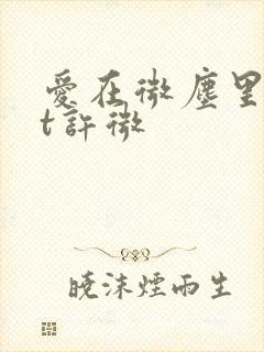 爱在微尘里txt许微