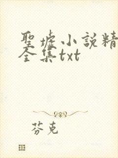 圣墟小说精校版全集txt封面