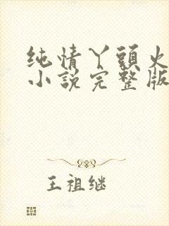 纯情丫头火辣辣小说完整版免费阅读