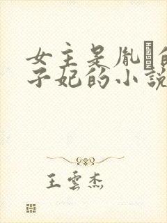 女主是胤礽的太子妃的小说封面