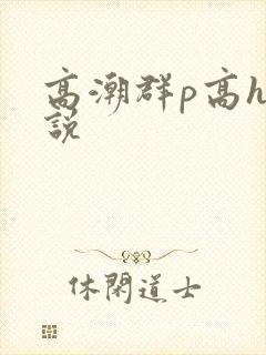 高潮群p高h小说封面