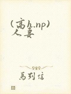 (高h.np)人妻