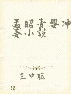 孟昭青婴冲喜侍妾小说