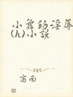 小舞的淫辱日记(h)小说封面