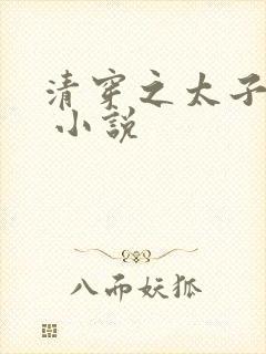 清穿之太子娇妃 小说