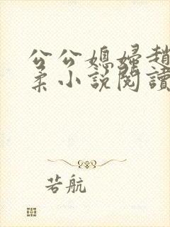 公公媳妇赵刚苏柔小说阅读