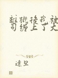 离职后我被前上司缠上了大结局封面