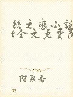 丝之恋小说txt全文免费阅读