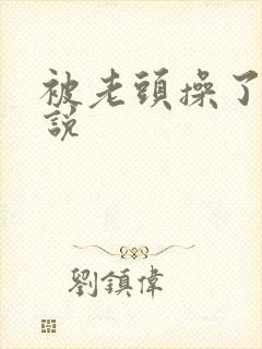 被老头操了的小说