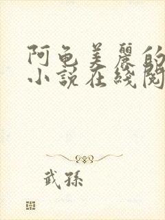 阿龟美丽的新娘小说在线阅读封面