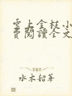 云上金枝小说免费阅读全文