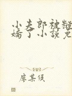 小夫郎被糙汉宠娇了小说免费阅读