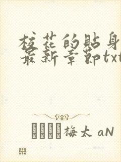 校花的贴身高手最新章节txt封面