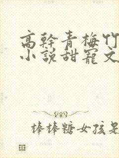 高干青梅竹马的小说甜宠文