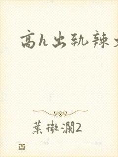 高h出轨辣文
