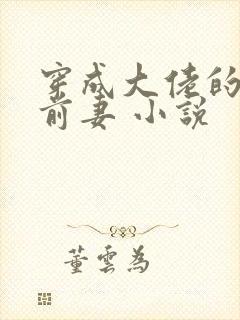 穿成大佬的私奔前妻 小说