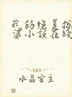 我的绝美总裁老婆小说在线阅读