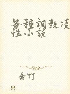 各种调教凌辱女性小说封面