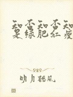 知否知否知否应是绿肥红瘦全集在线观看