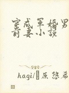 穿成军婚男主的前妻小说封面