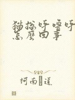 猫总呼噜呼噜的怎么回事