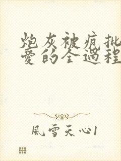 炮灰被疯批墙纸爱的全过程