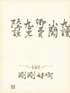 陆九卿小九的小说免费阅读封面