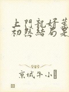 上门龙婿叶辰萧初然结局是什么